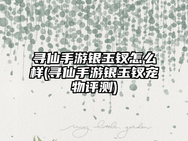 寻仙手游银玉钗怎么样(寻仙手游银玉钗宠物评测)