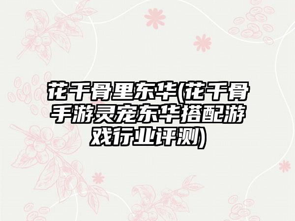 花千骨里东华(花千骨手游灵宠东华搭配游戏行业评测)