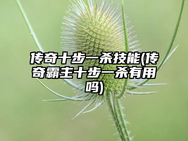 传奇十步一杀技能(传奇霸主十步一杀有用吗)