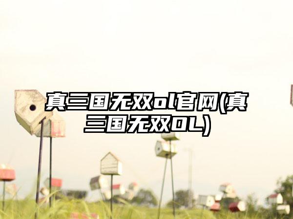真三国无双ol官网(真三国无双OL)