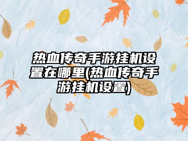 热血传奇手游挂机设置在哪里(热血传奇手游挂机设置)