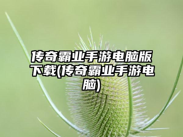 传奇霸业手游电脑版下载(传奇霸业手游电脑)