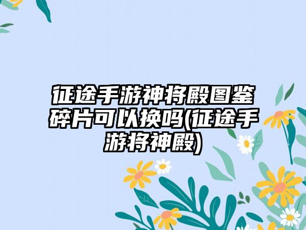 征途手游神将殿图鉴碎片可以换吗(征途手游将神殿)