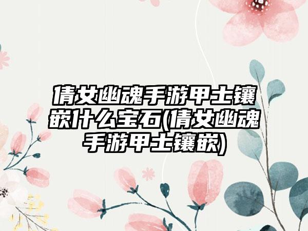 倩女幽魂手游甲士镶嵌什么宝石(倩女幽魂手游甲士镶嵌)