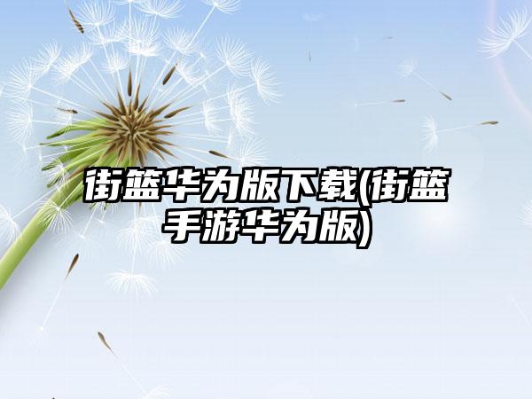 街篮华为版下载(街篮手游华为版)