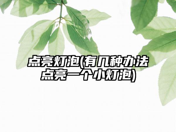 点亮灯泡(有几种办法点亮一个小灯泡)