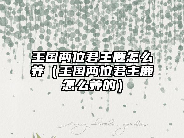 王国两位君主鹿怎么养（王国两位君主鹿怎么养的）