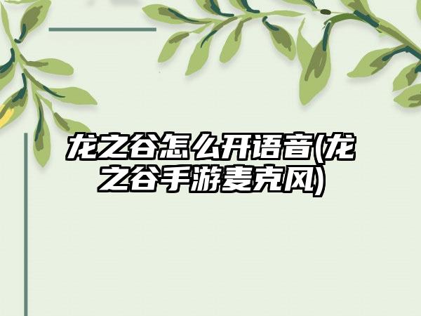 龙之谷怎么开语音(龙之谷手游麦克风)