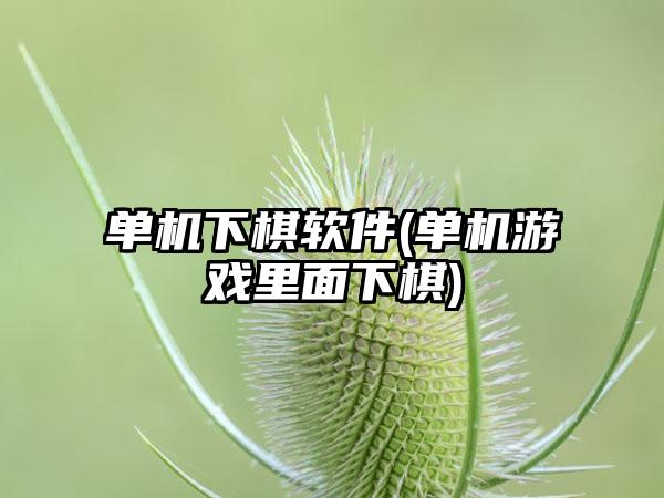 单机下棋软件(单机游戏里面下棋)