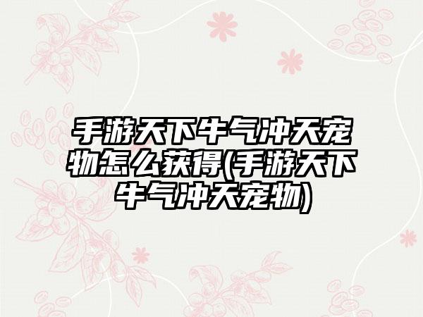 手游天下牛气冲天宠物怎么获得(手游天下牛气冲天宠物)