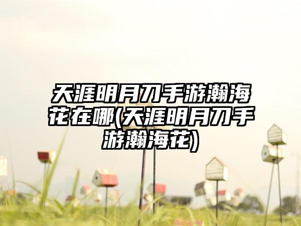 天涯明月刀手游瀚海花在哪(天涯明月刀手游瀚海花)