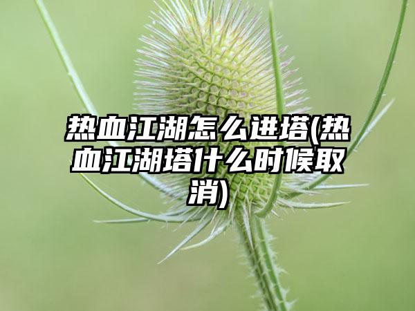 热血江湖怎么进塔(热血江湖塔什么时候取消)