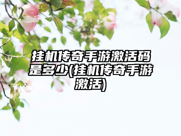 挂机传奇手游激活码是多少(挂机传奇手游激活)