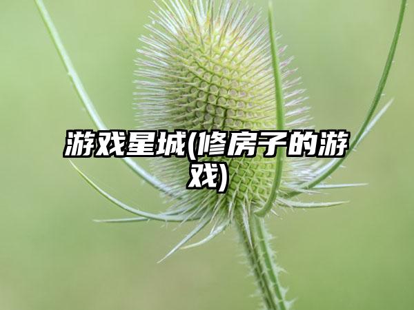 游戏星城(修房子的游戏)