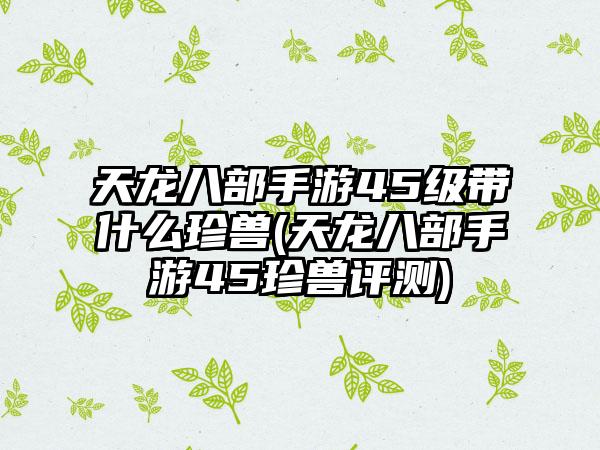 天龙八部手游45级带什么珍兽(天龙八部手游45珍兽评测)