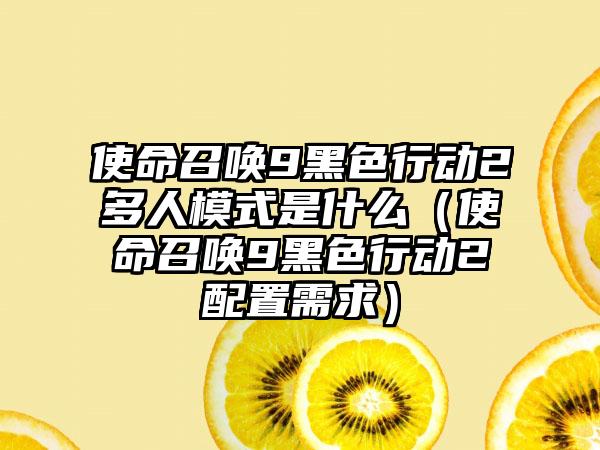 使命召唤9黑色行动2多人模式是什么（使命召唤9黑色行动2配置需求）