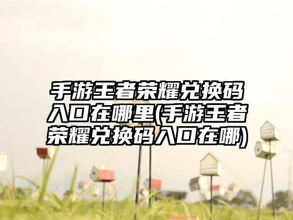 手游王者荣耀兑换码入口在哪里(手游王者荣耀兑换码入口在哪)
