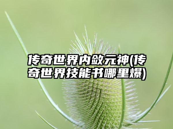 传奇世界内敛元神(传奇世界技能书哪里爆)
