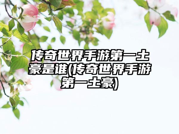 传奇世界手游第一土豪是谁(传奇世界手游第一土豪)