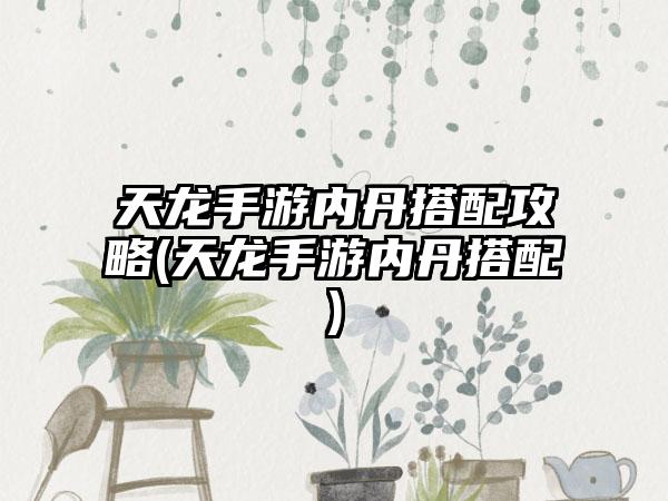 天龙手游内丹搭配攻略(天龙手游内丹搭配)