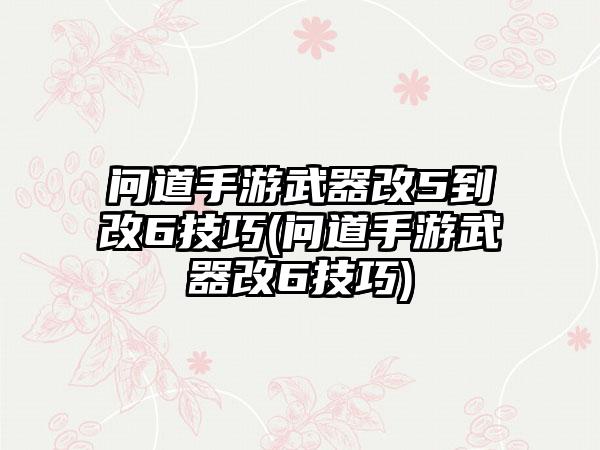问道手游武器改5到改6技巧(问道手游武器改6技巧)