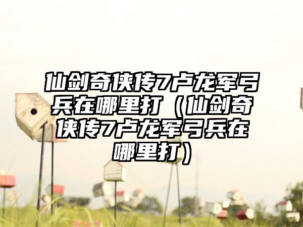 仙剑奇侠传7卢龙军弓兵在哪里打（仙剑奇侠传7卢龙军弓兵在哪里打）