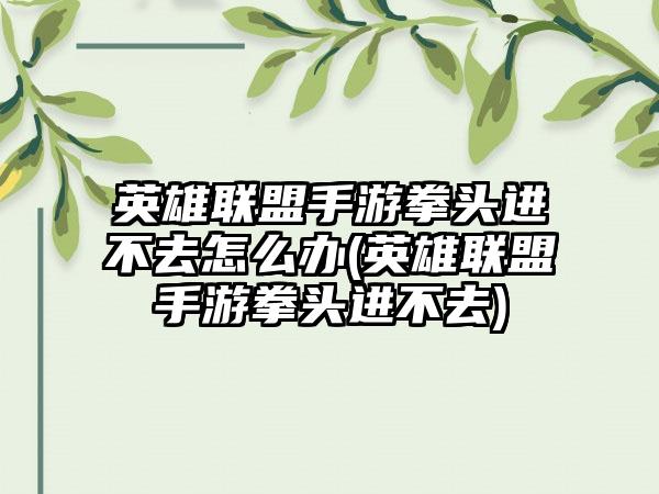 英雄联盟手游拳头进不去怎么办(英雄联盟手游拳头进不去)
