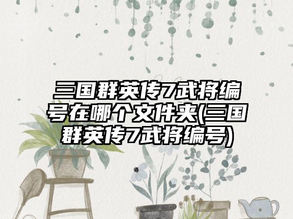 三国群英传7武将编号在哪个文件夹(三国群英传7武将编号)