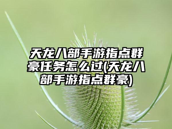 天龙八部手游指点群豪任务怎么过(天龙八部手游指点群豪)