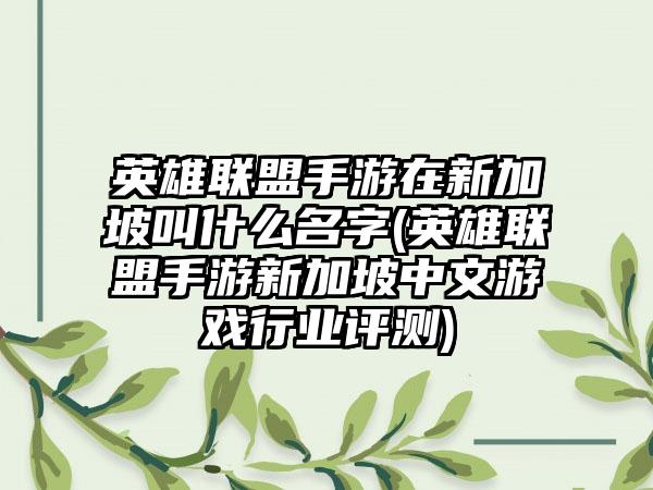 英雄联盟手游在新加坡叫什么名字(英雄联盟手游新加坡中文游戏行业评测)