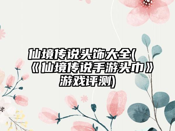 仙境传说头饰大全(《仙境传说手游头巾》游戏评测)
