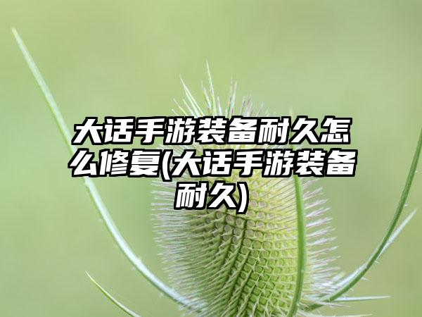 大话手游装备耐久怎么修复(大话手游装备耐久)