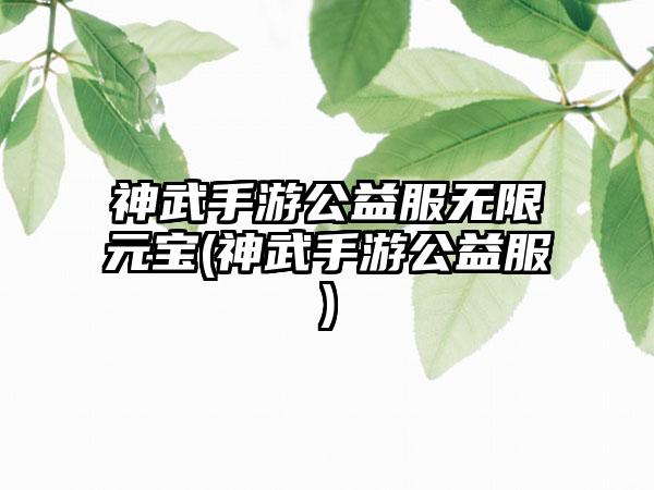 神武手游公益服无限元宝(神武手游公益服)