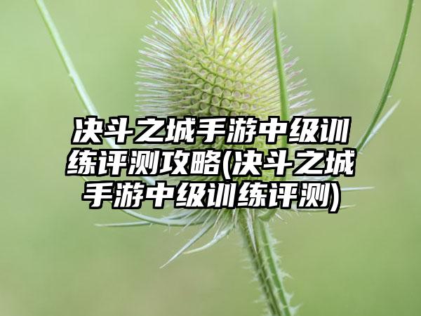 决斗之城手游中级训练评测攻略(决斗之城手游中级训练评测)