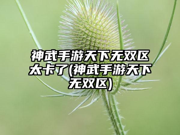 神武手游天下无双区太卡了(神武手游天下无双区)