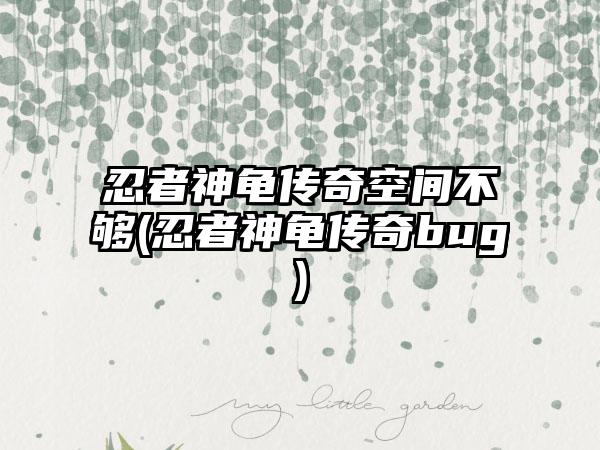 忍者神龟传奇空间不够(忍者神龟传奇bug)