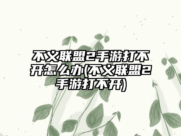 不义联盟2手游打不开怎么办(不义联盟2手游打不开)