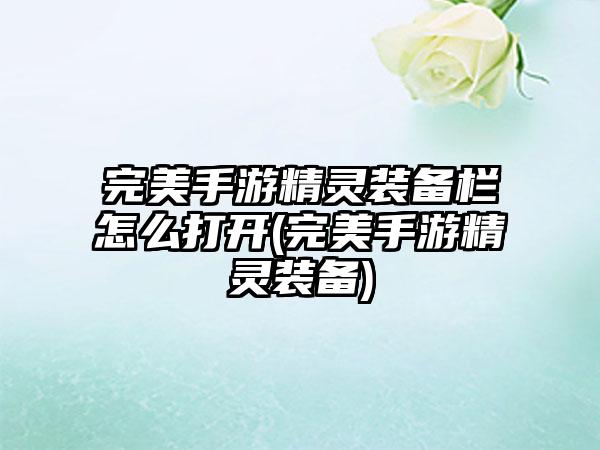 完美手游精灵装备栏怎么打开(完美手游精灵装备)
