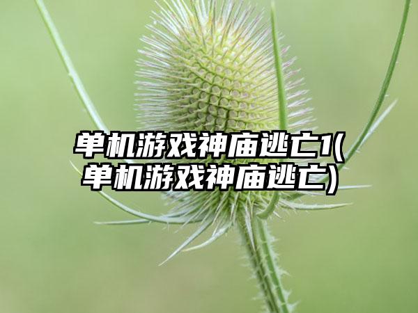 单机游戏神庙逃亡1(单机游戏神庙逃亡)