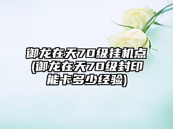 御龙在天70级挂机点(御龙在天70级封印能卡多少经验)