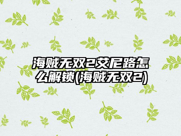 海贼无双2艾尼路怎么解锁(海贼无双2)