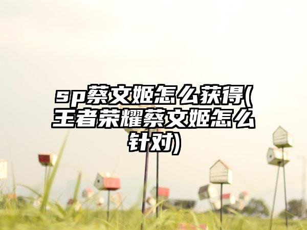 sp蔡文姬怎么获得(王者荣耀蔡文姬怎么针对)