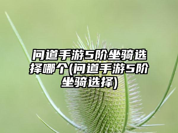 问道手游5阶坐骑选择哪个(问道手游5阶坐骑选择)