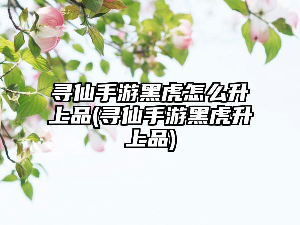 寻仙手游黑虎怎么升上品(寻仙手游黑虎升上品)