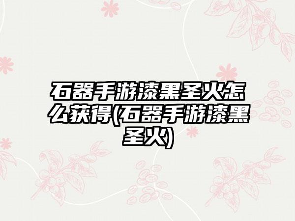 石器手游漆黑圣火怎么获得(石器手游漆黑圣火)