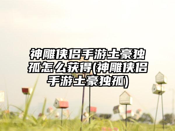 神雕侠侣手游土豪独孤怎么获得(神雕侠侣手游土豪独孤)