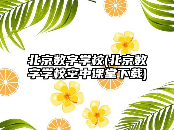 北京数字学校(北京数字学校空中课堂下载)