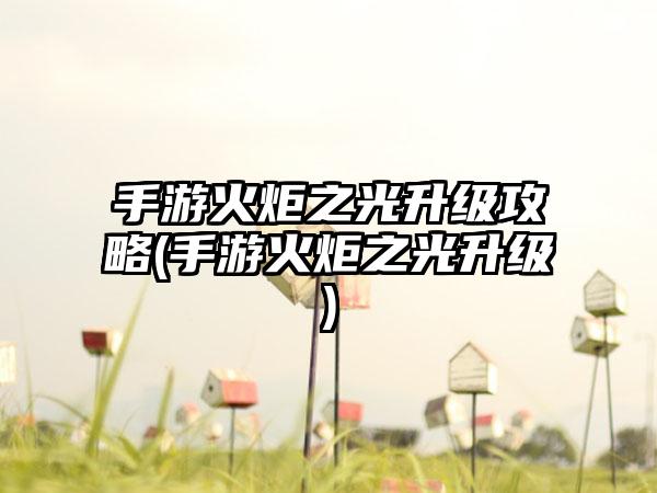 手游火炬之光升级攻略(手游火炬之光升级)