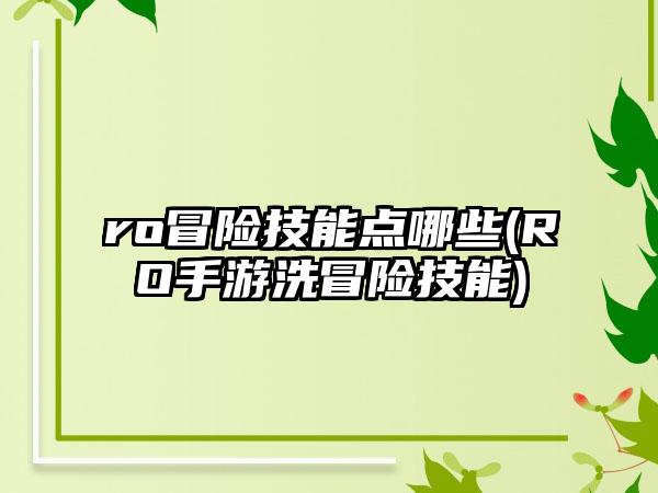 ro冒险技能点哪些(RO手游洗冒险技能)