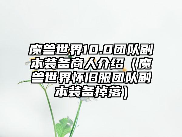 魔兽世界10.0团队副本装备商人介绍（魔兽世界怀旧服团队副本装备掉落）